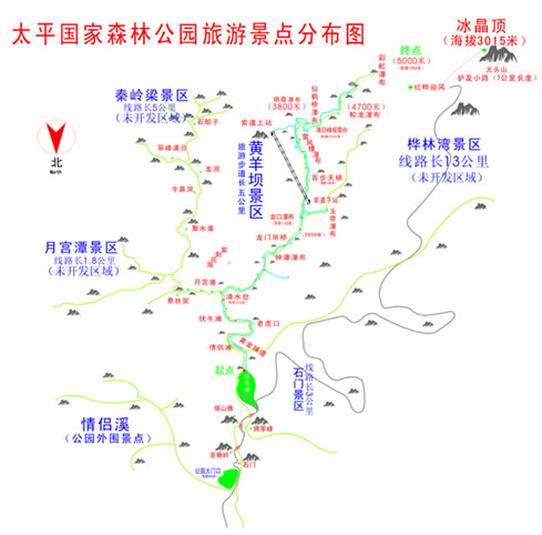 ̫ƽ����ɭ�ֹ��@���ΈD