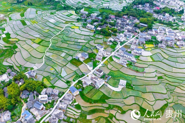 �����F��л�Ϫ�^(q��)��������������W(w��ng)ӛ�� Ϳ���z